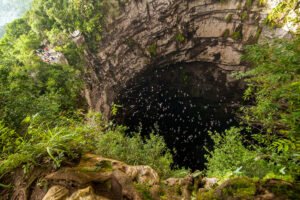 slp-nota-sotano-de-las-golodrinas-1