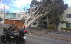 EN ALERTA PROTECCIÓN CIVIL ANTE VIENTOS FUERTES EN LOS PRÓXIMOS DÍAS 2