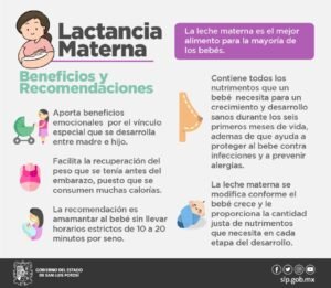 SS Leche materna 030521
