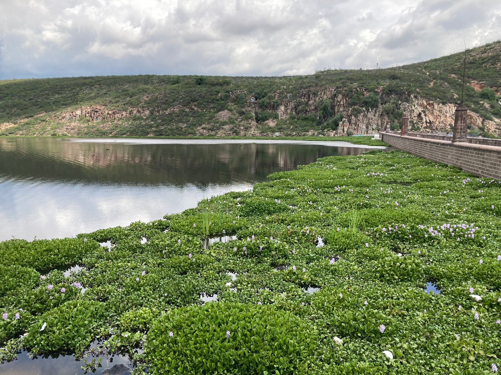 Presa San jose