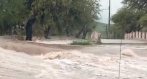 presa charcas
