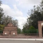 Árboles del Parque de Morales en San Luis Potosí