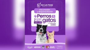 slp-septiembre-2026-11201-1200x675